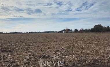 Parcela en Venta en Palmilla