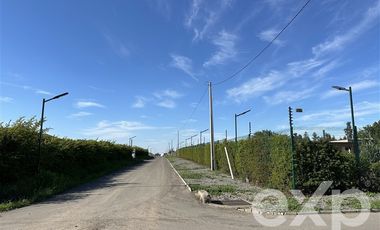 Parcela en Venta en Hacienda Las Taguitas km 8 camino a Coihueco