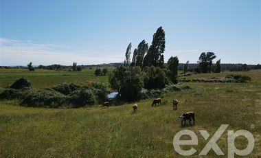 Agrícola en Venta en Rucapequen Chillan Viejo
