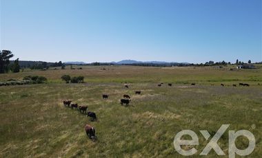 Agrícola en Venta en Rucapequen Chillan Viejo