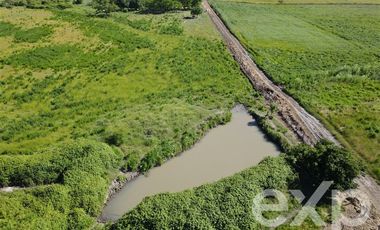 Agrícola en Venta en Rucapequen Chillan Viejo