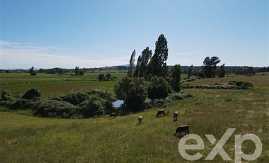 Agrícola en Venta en Rucapequen Chillan Viejo