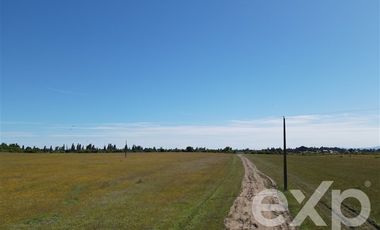 Agrícola en Venta en Rucapequen Chillan Viejo