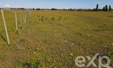 Agrícola en Venta en Rucapequen Chillan Viejo