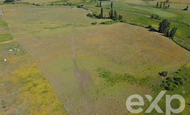 Agrícola en Venta en Rucapequen Chillan Viejo