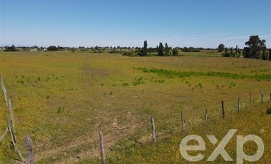 Agrícola en Venta en Rucapequen Chillan Viejo