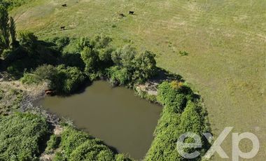 Agrícola en Venta en Rucapequen Chillan Viejo