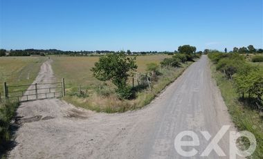 Agrícola en Venta en Rucapequen Chillan Viejo