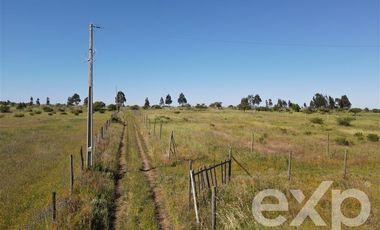 Agrícola en Venta en Rucapequen Chillan Viejo