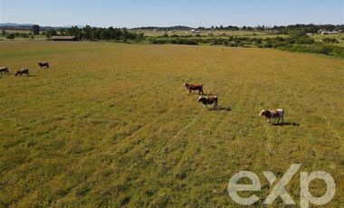 Agrícola en Venta en Rucapequen Chillan Viejo