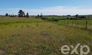 Agrícola en Venta en Rucapequen Chillan Viejo