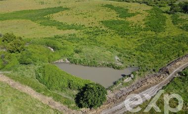 Agrícola en Venta en Rucapequen Chillan Viejo