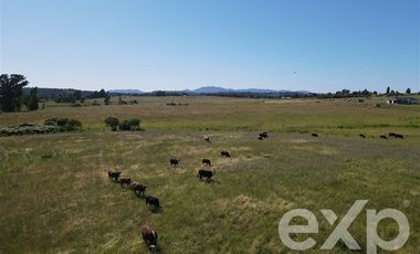 Agrícola en Venta en Rucapequen Chillan Viejo