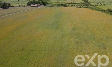 Agrícola en Venta en Rucapequen Chillan Viejo