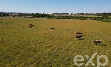 Agrícola en Venta en Rucapequen Chillan Viejo