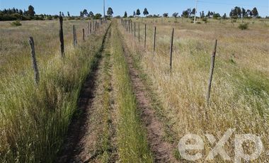 Agrícola en Venta en Rucapequen Chillan Viejo