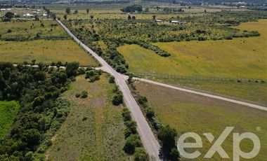 Agrícola en Venta en Rucapequen Chillan Viejo