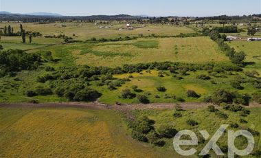 Agrícola en Venta en Rucapequen Chillan Viejo