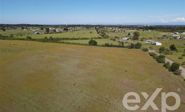 Agrícola en Venta en Rucapequen Chillan Viejo