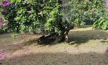 VENTA CASA 3 AMB A REFAC PIL 1023 MTS - TORTUGUITA