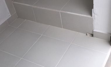 Renta de Local Comercial en Av. Pino Suarez, Metepec