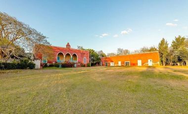 TERRENO EN VENTA EN TICOPÓ A 30 MINUTOS DE MÉRIDA, PARA DESARROLLAR