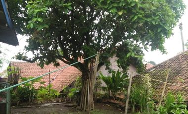 dijual cepat Rumah Terawat patrol Jalancagak Subang SHM 300  jt