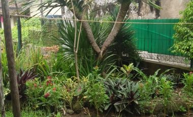 dijual cepat Rumah Terawat patrol Jalancagak Subang SHM 300  jt