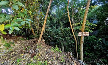 Terreno en  Venta - Tulum Centro - Excelente Ubicación