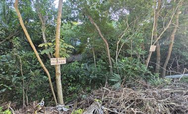 Terreno en  Venta - Tulum Centro - Excelente Ubicación