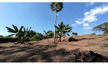 VENDO LOTE SECTOR COMBIA PEREIRA COD 7529913