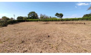 VENDO LOTE SECTOR COMBIA PEREIRA COD 7529913