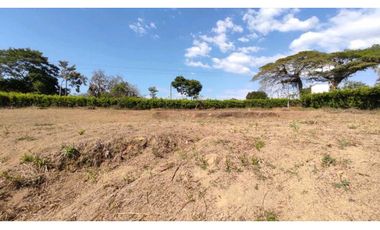 VENDO LOTE SECTOR COMBIA PEREIRA COD 7529913