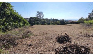 VENDO LOTE SECTOR COMBIA PEREIRA COD 7529913