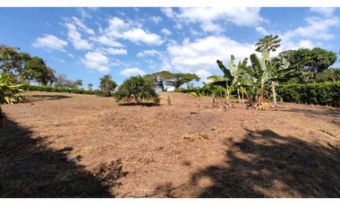 VENDO LOTE SECTOR COMBIA PEREIRA COD 7529913