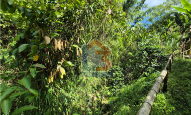 SE VENDE FINCA EN FILANDIA