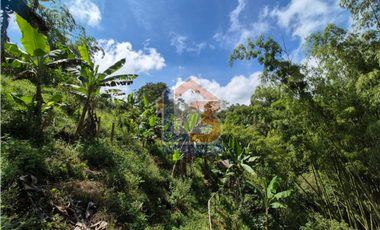 SE VENDE FINCA EN FILANDIA