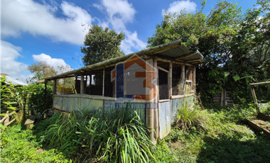 SE VENDE FINCA EN FILANDIA