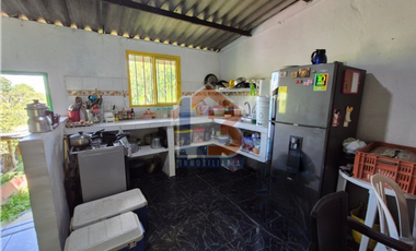 SE VENDE FINCA EN FILANDIA