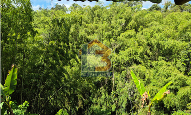 SE VENDE FINCA EN FILANDIA