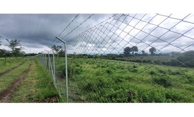 LOTE CAMPESTRE CERCA A PUEBLO TAPAO / MONTENEGRO 8000