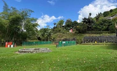 SE RENTA FINCA EN BETULIA PEREIRA