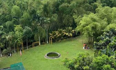 SE RENTA FINCA EN BETULIA PEREIRA