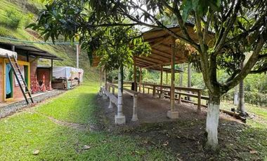 SE RENTA FINCA EN BETULIA PEREIRA