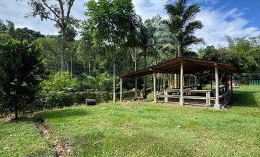 SE RENTA FINCA EN BETULIA PEREIRA