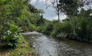 SE RENTA FINCA EN BETULIA PEREIRA