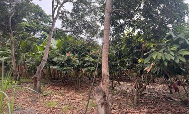 Finca en Venta, Vía Durán - Tambo, MirG