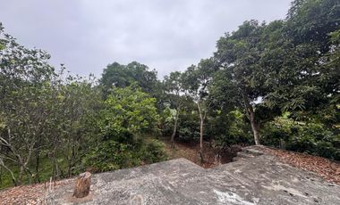 Finca en Venta, Vía Durán - Tambo, MirG