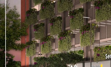 Preventa de local comercial – Centro de Monterrey, NL