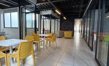 LOFT AMUEBLADO EN RENTA A POCOS METROS  DE LA UP